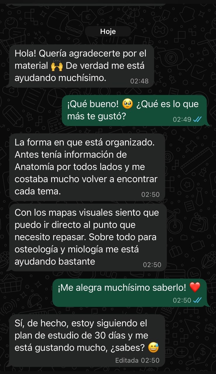 Conversación de una estudiante sobre la organización de los mapas visuales