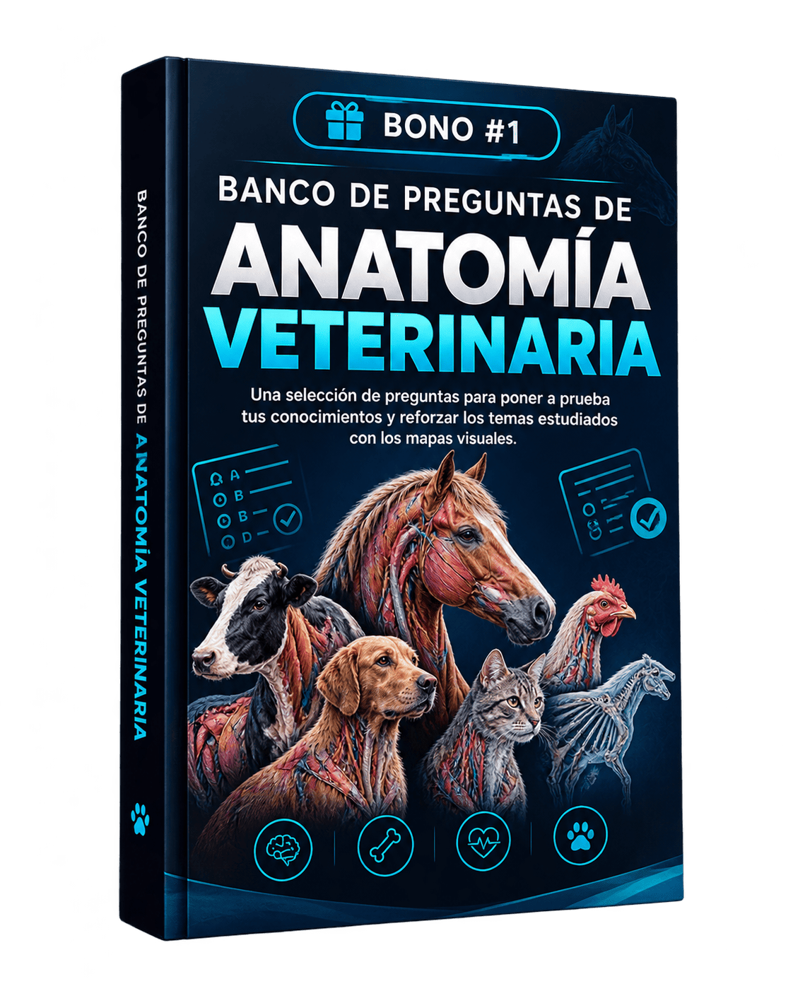 Bono 1: Banco de Preguntas de Anatomía Veterinaria