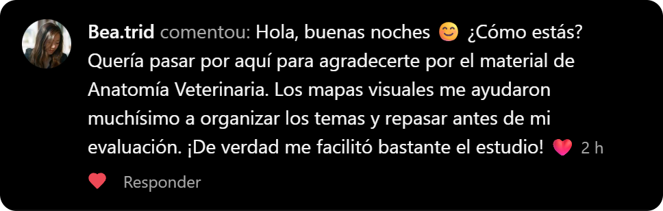 Comentario de una estudiante sobre los mapas visuales