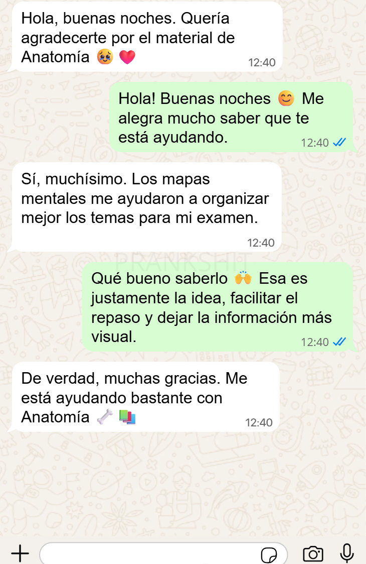 Conversación de una estudiante sobre los mapas mentales